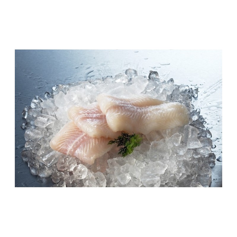 BASA FILLET 120 170 5KG