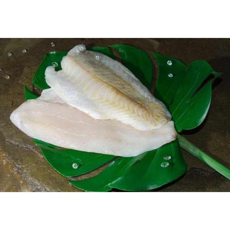 BARRAMUNDI FILLET 100 200 5KG
