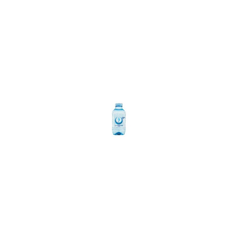 SPRINGWATER MINI 250ML