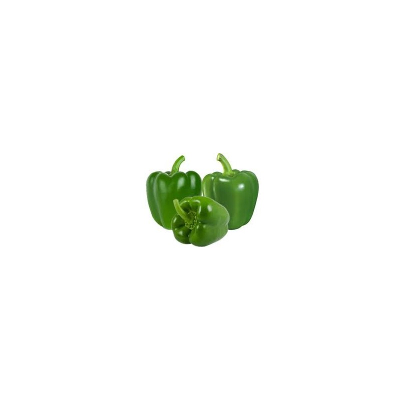 Capsicum - Green (ea)