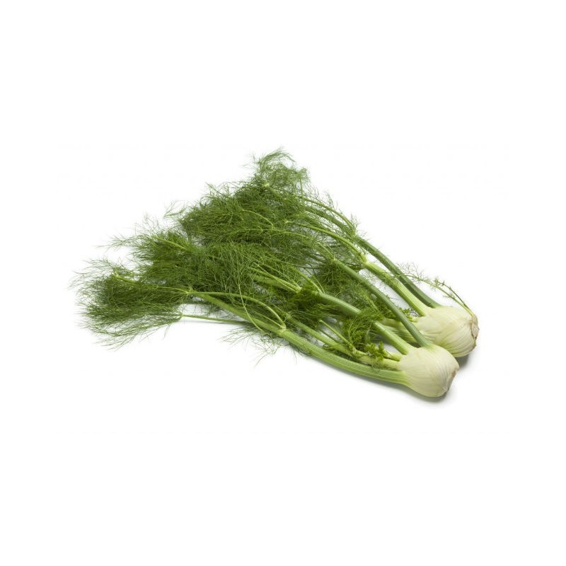 Fennel (ea)