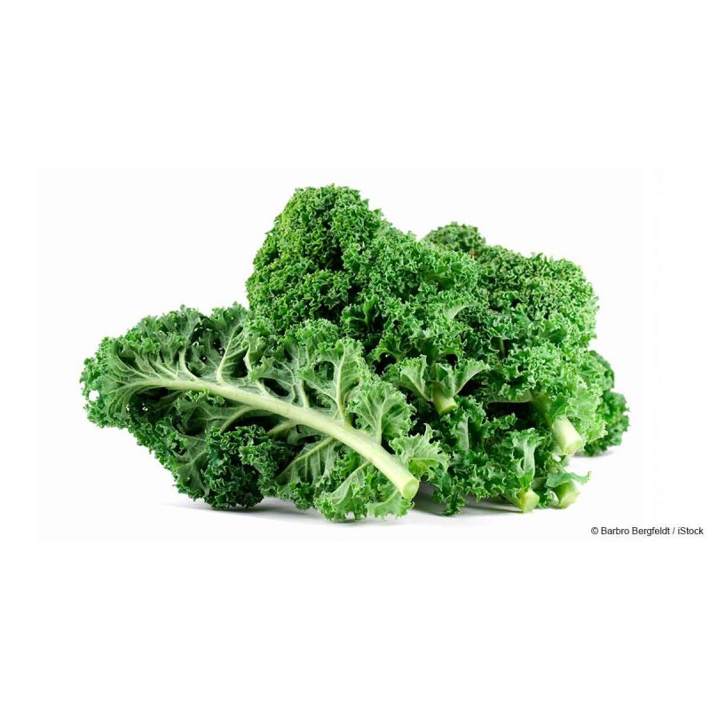 Kale - Green
