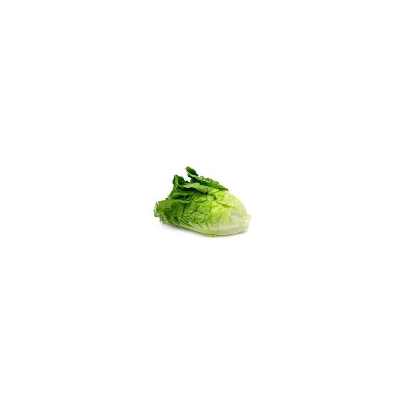 Lettuce - Cos (ea)