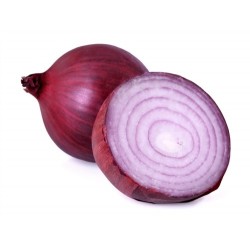 Onion - Red (ea)