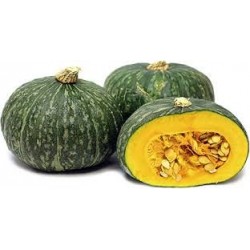 Pumpkin - Japanese (ea)