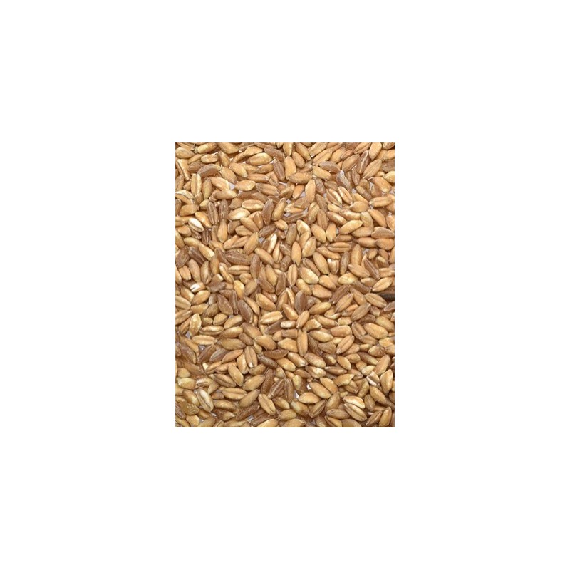 FARRO WHOLEGRAIN 2KG