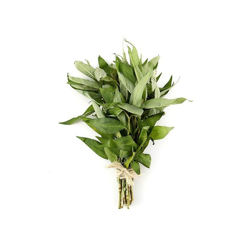 MINT, VIETNAMESE BUNCH