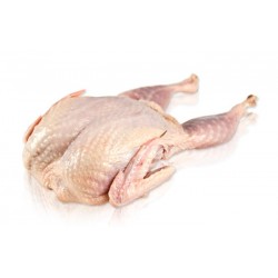 WHOLE QUAIL FRESH, KG