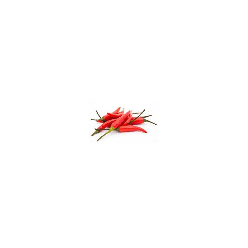 CHILLI BIRDSEYE, KG