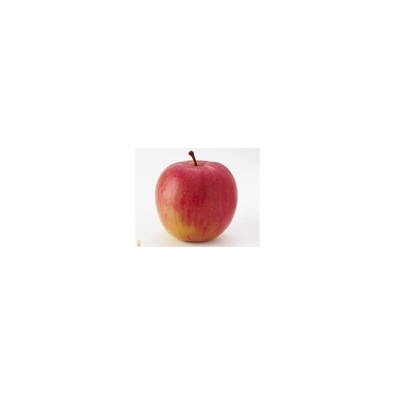 APPLES FUJI SMALL, KG