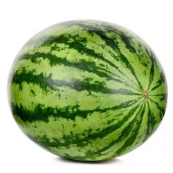 Watermelon - Seedless (Whole)