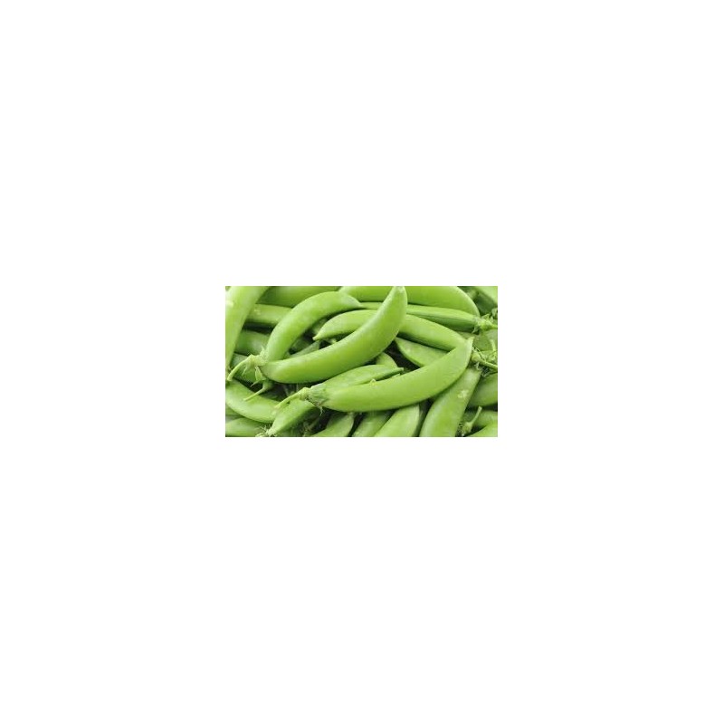 SUGAR SNAP PEAS, KG