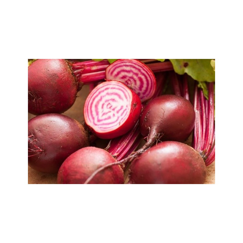 HEIRLOOM BABY BEEROOT, KG
