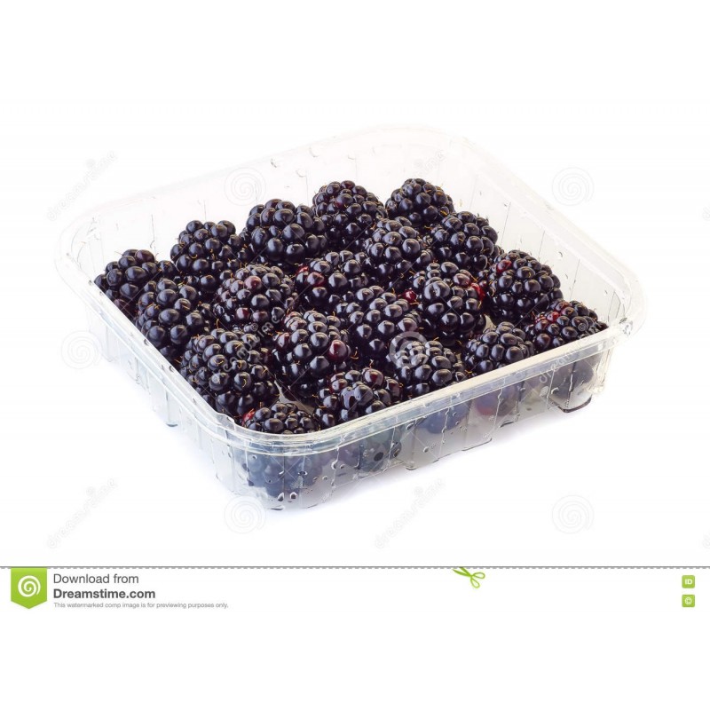 BLACKBERRIES, PUNNET 125G
