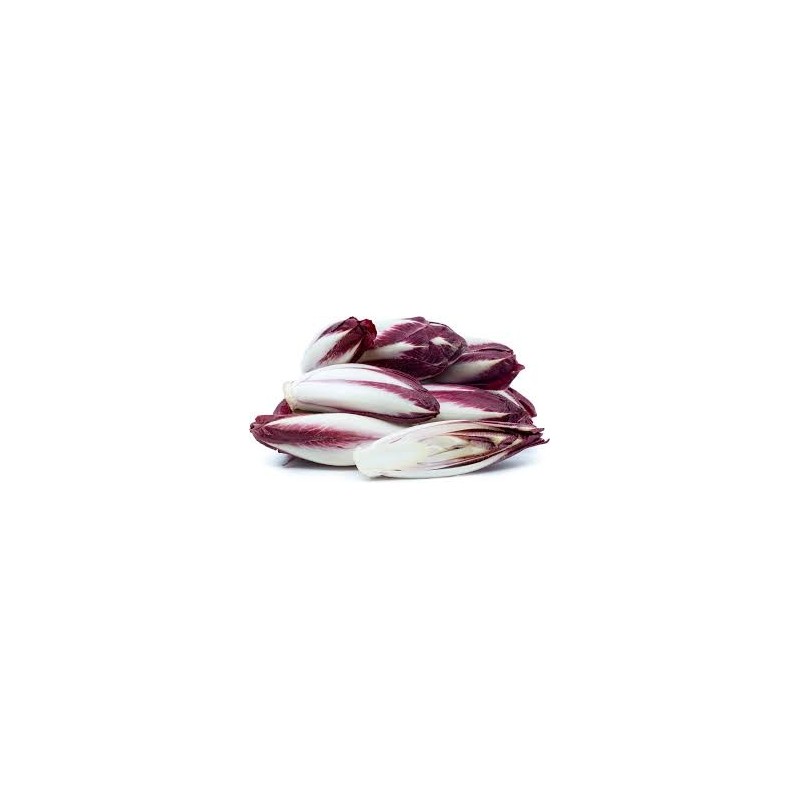 LETT WITLOFF RED 200GM PUNNET