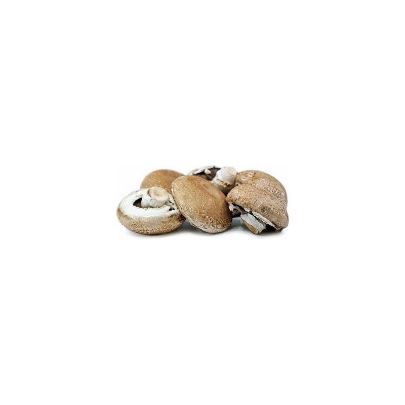 MUSHROOMS PORTEBELLO, KG