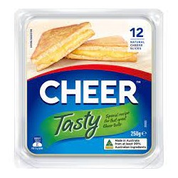 TASTY CHEESE SLICES 250GM
