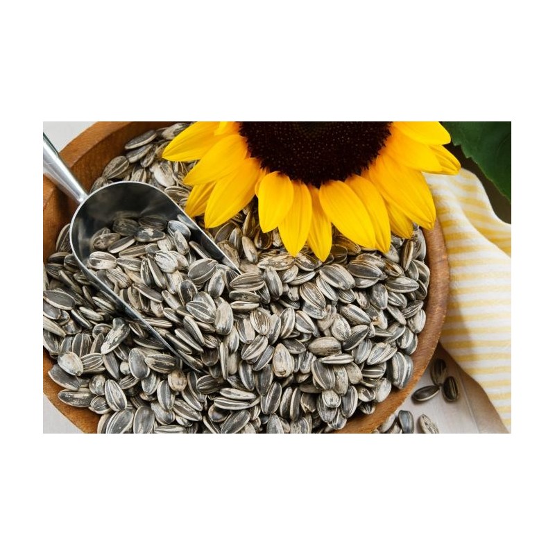 SUNFLOWER SEEDS 1KG