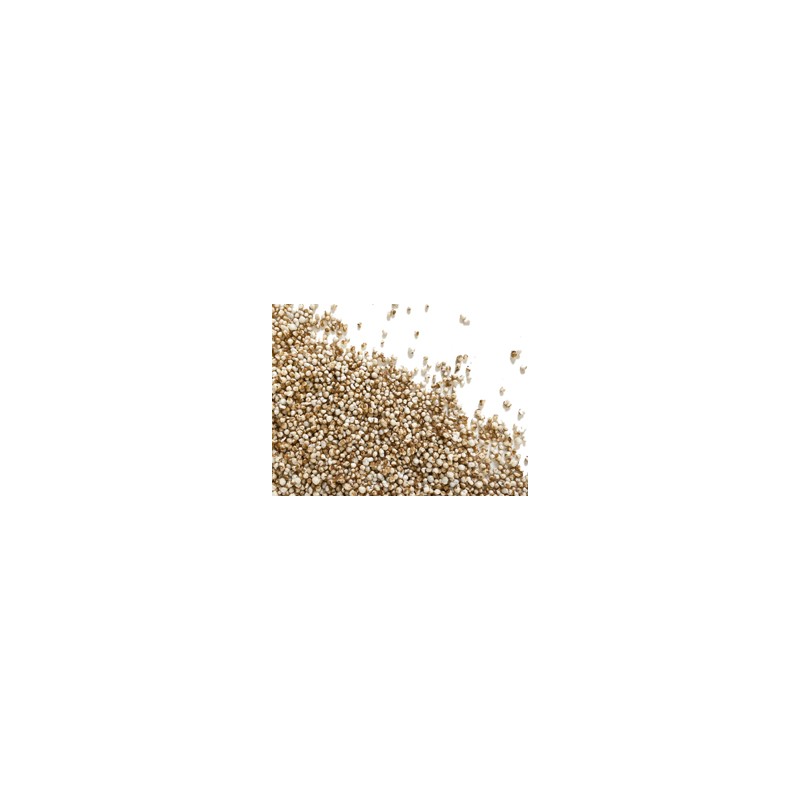CARAWAY SEEDS WHOLE 1KG
