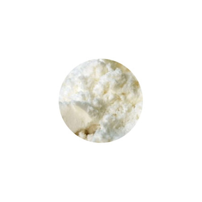 COCONUT MILK POWDER 1KG