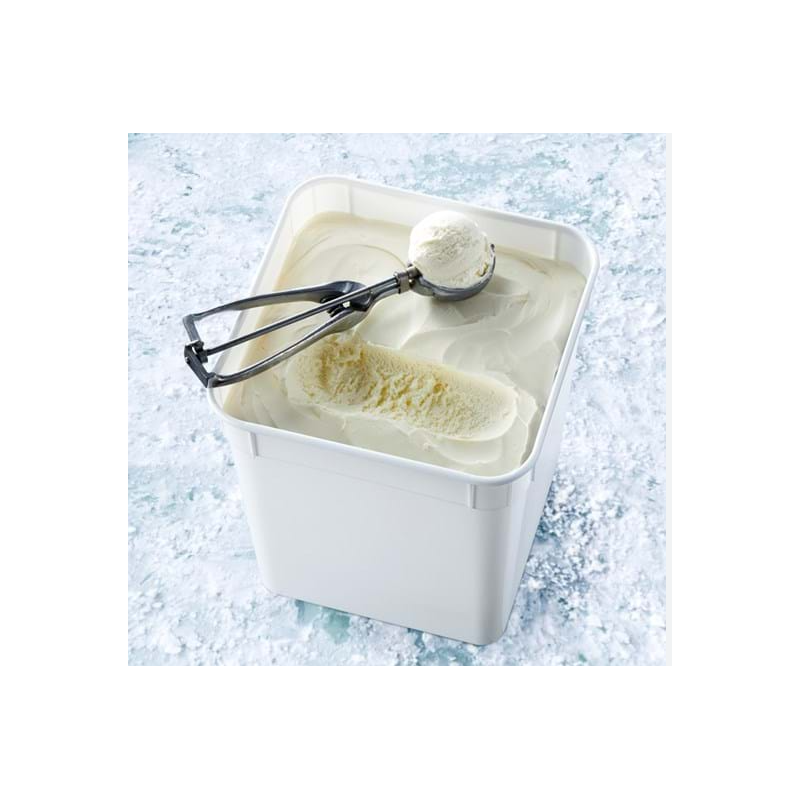 GOLD LABEL VANILLA ICE CREAM 10L