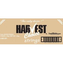 SHOESTRING FRIES 7MM 12KG