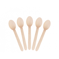 WOODEN SPOONS 160MM 100S