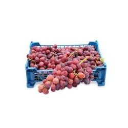 CASE GRAPES RED 9KG