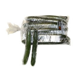 BAG OF CUCUMBERS CONTINENTAL NO.15 BAG