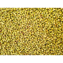 CORIANDER WHOLE 1KG