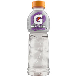 BERRY FREEZE SPORTS DRINK 600ML