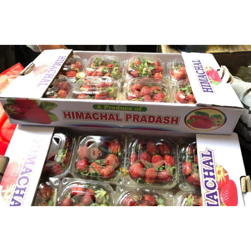 TRAY OF STRAWBERRIES 18 PUNNETS