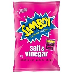 SALT AND VINEGAR POTATO CHIPS 45GM