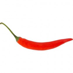 CHILLI RED LONG, KG
