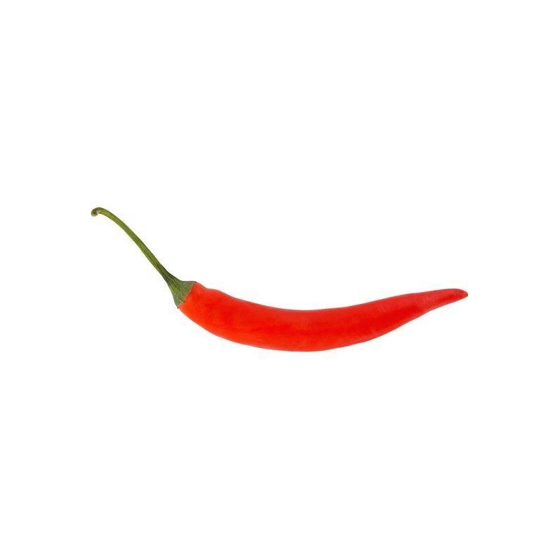 CHILLI RED LONG, KG