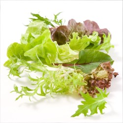 Organic - Salad Mix (100g)