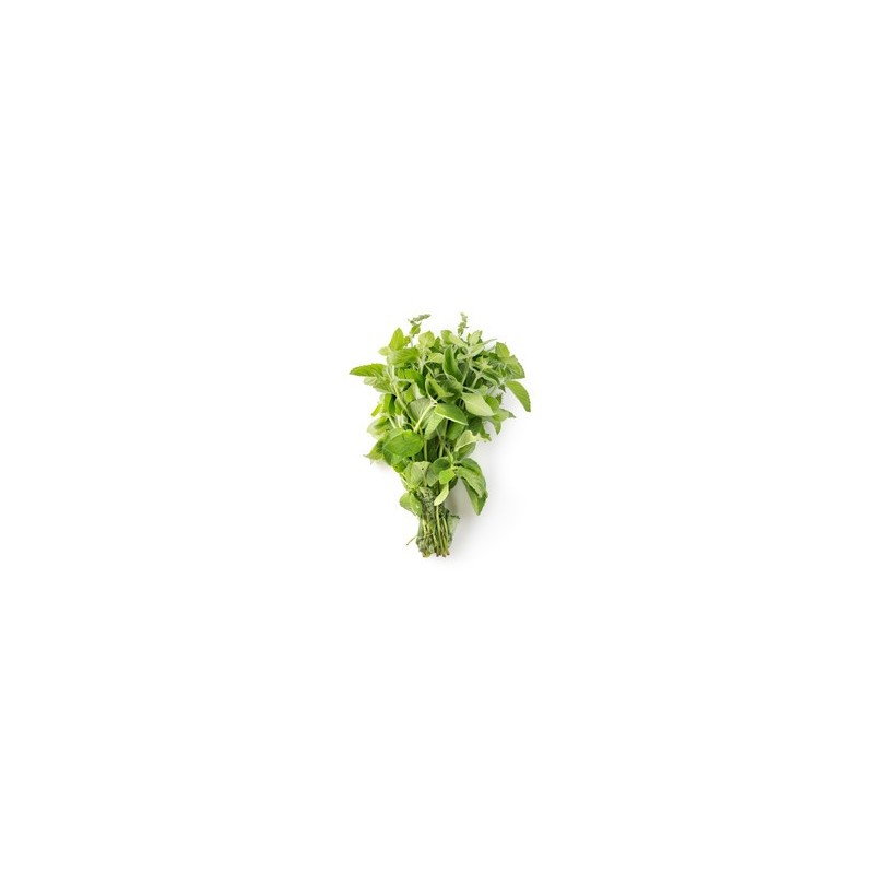 Oregano, bunch