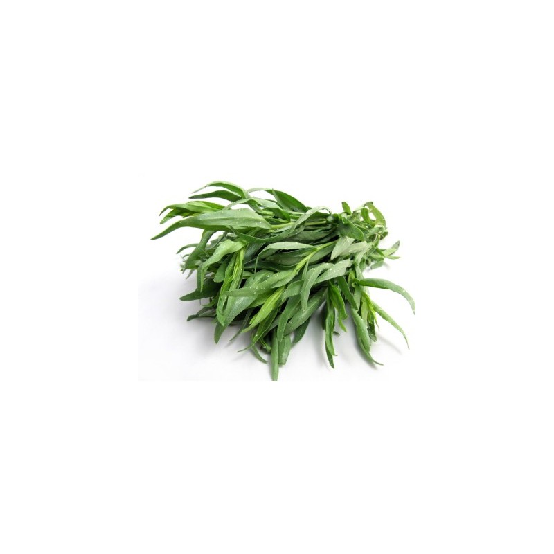 Tarragon, Bunch