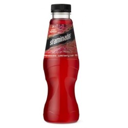 NEW BERRY SPORTS DRINK 600ML